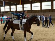 voltitag 2009 _CD1 055